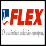 flex logo 200×200