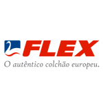 logo Flex do brasil2